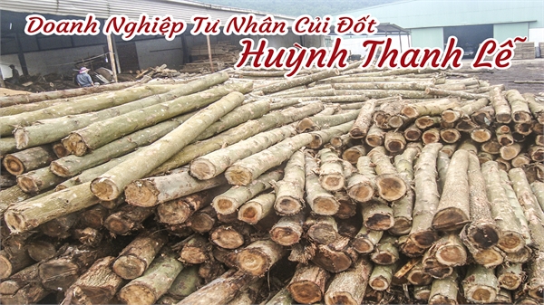 Củi tràm - Củi Đốt Huỳnh Thanh Lễ - Doanh Nghiệp Tư Nhân Huỳnh Thanh Lễ